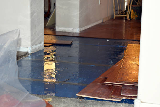 Professional Water Damage Restoration technician working in Springdale, UT
